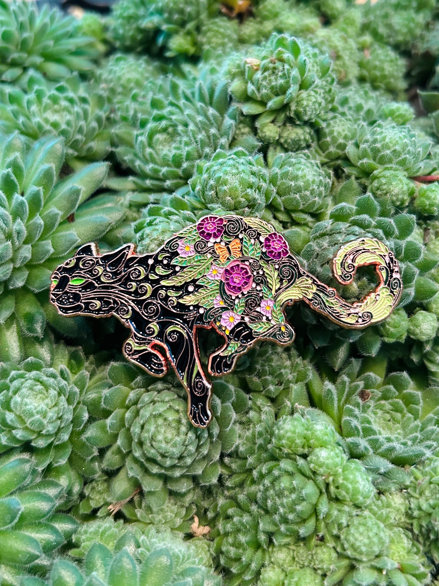 Cosmic Kitty 