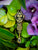 Tribal Totem Pendants