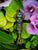 Tribal Totem Pendants
